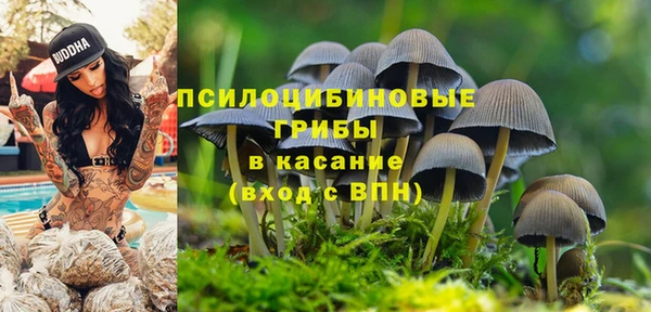 прущая мука Козловка
