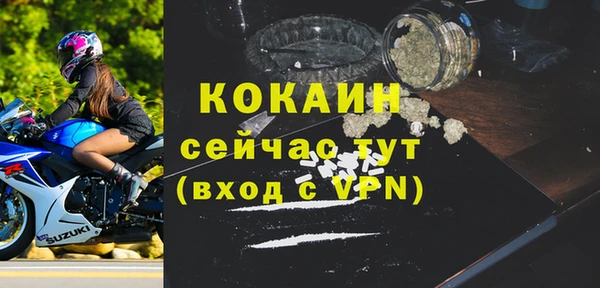 apvp Козельск