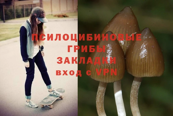 apvp Козельск